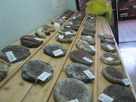 ocenjevanje želodcev